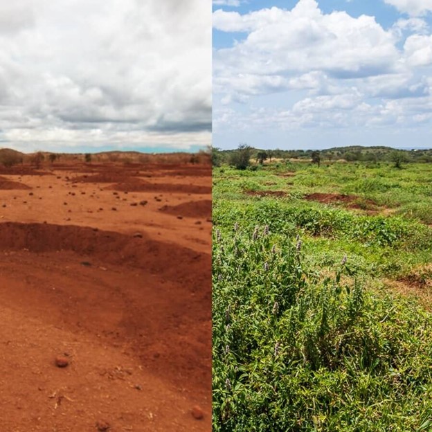before and after picture of a field